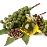 Premium Grade Cold Pressed Castor Oil